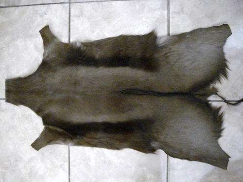 WOW !!!!! TANNED SPRINGBOK HIDE,NATURAL BLACK NOT COLOURED !!!