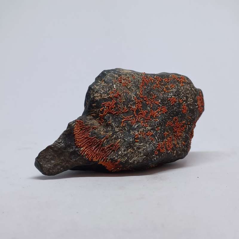 METEORITE partially covered with lichen (10cm x 5.2cm x 3.8cm)