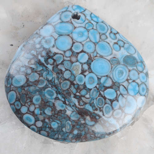 Beautiful 40x40mm Blue Cowry Fossil Pendant Bead