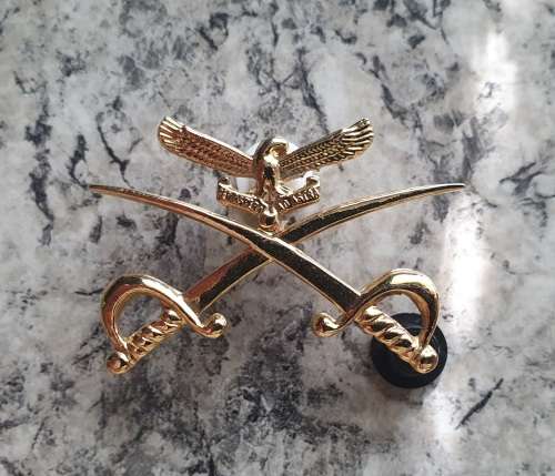 SAAF PTI Badge