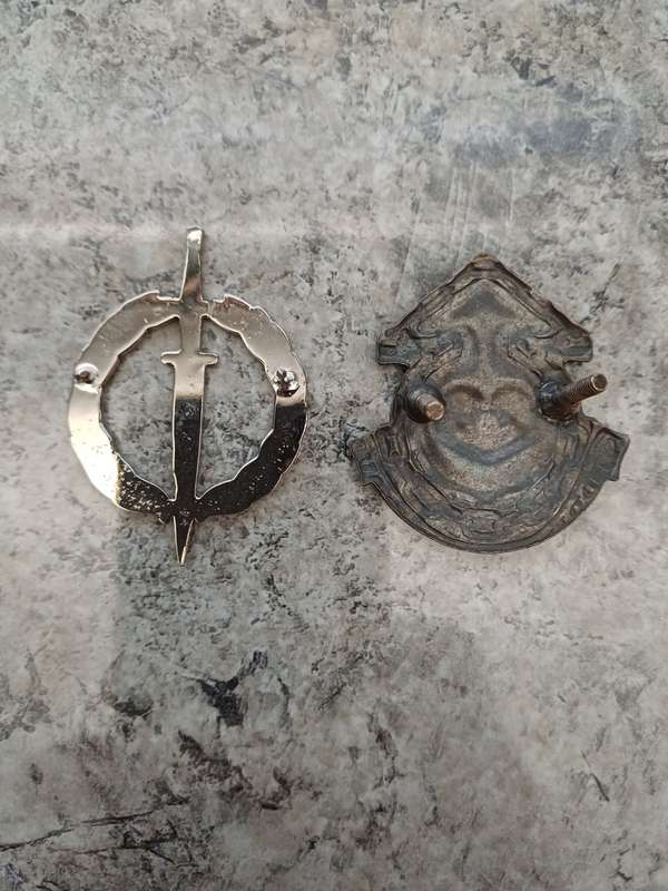 Recce & Air Supply (damaged badges)