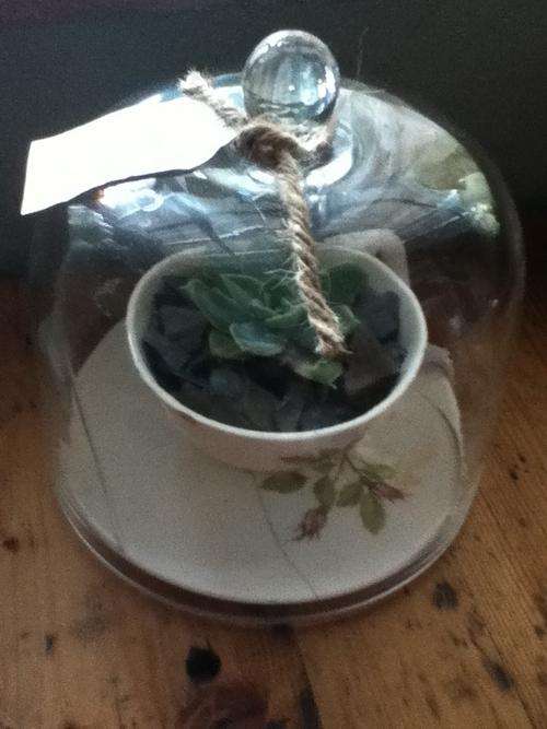 BIG BIG SALE!!     GLASS CLOCHE / DOME