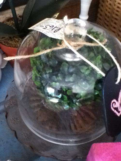 GLASS CLOCHE / DOME 17cm Diameter ONLY 2 LEFT!!  Reduced to clear!!