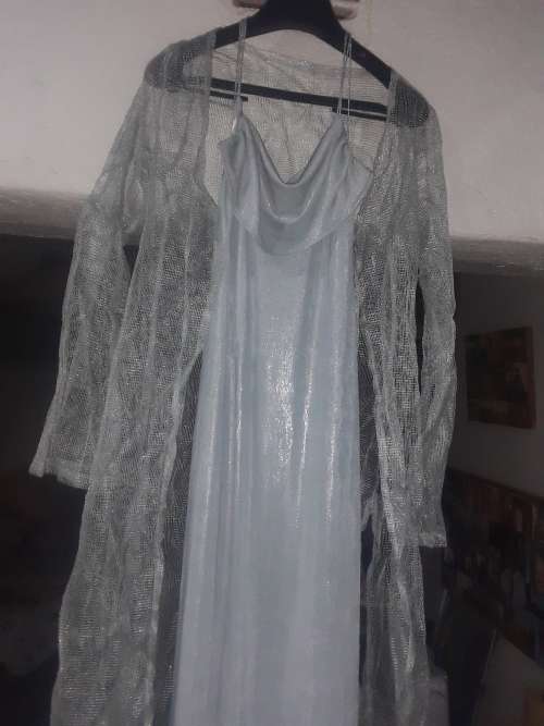 Size 30 silver night dress