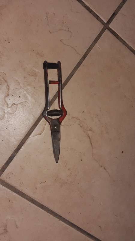 TOMATO AND GRAPE PRUNER