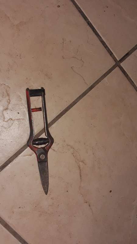 TOMATO AND GRAPE PRUNER