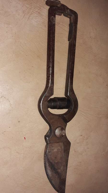PRUNER