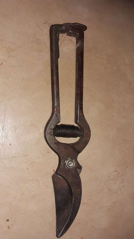PRUNER