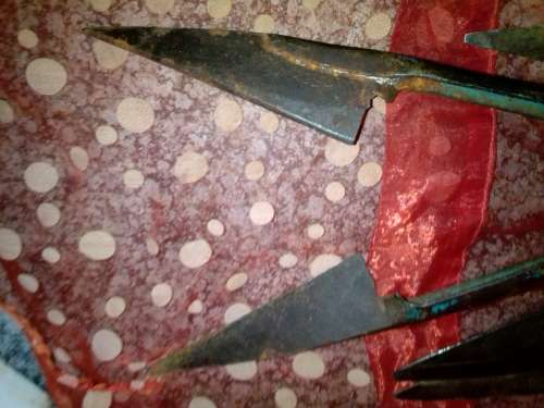 SHEEP SHEAR SCISSORS