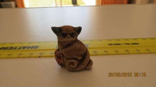 wade bush baby, as per photo
