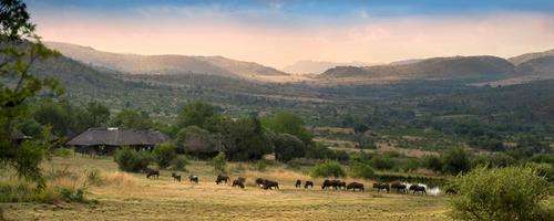 Bakubung Lodge accommodation rental in Pilansberg: 1 - 8 Dec 17