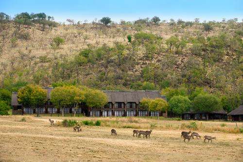 Bakubung Lodge: 27 Nov - 4 Dec 15