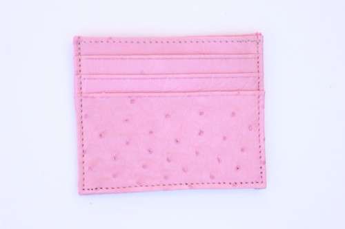 Ostrich purses