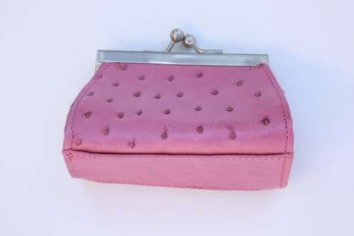 Ostrich Leather Clutch Purse