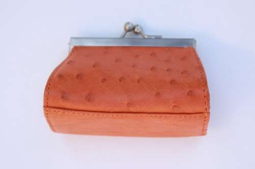Ostrich Leather Clutch Purse