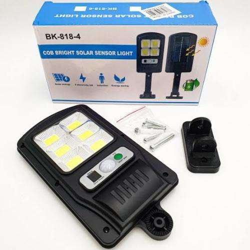 Solar Outdoor Induction Street Lamp
