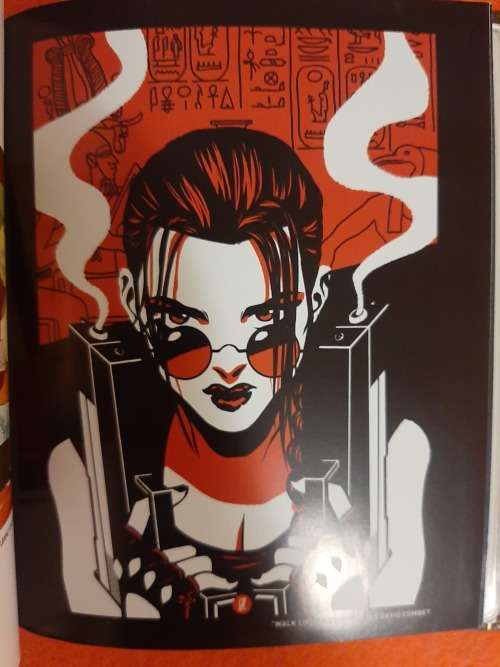 Tomb Raider Collectors Item