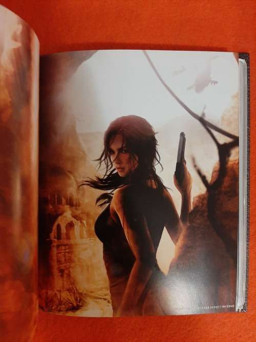 Tomb Raider Collectors Item