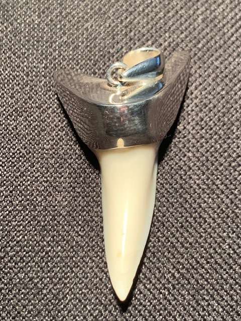 SHARK TOOTH STERLING SILVER PENDANT