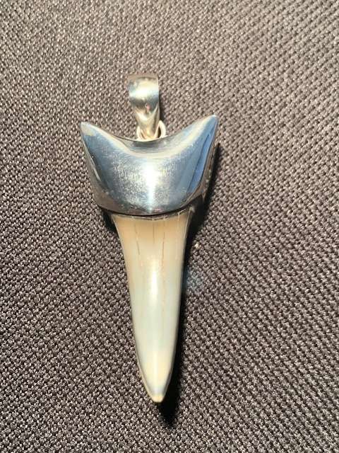 Fossil SHARK TOOTH STERLING SILVER PENDANT