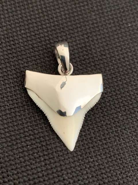 BULL SHARK TOOTH STERLING SILVER PENDANT