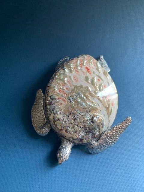 Pewter Turtle Fish Sea Ocean Beach Figurine Pewter Silver Shell Abalone