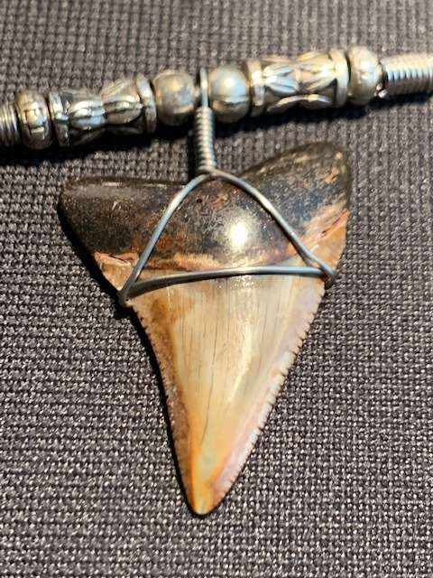 Great White FOSSIL SHARK TOOTH PENDANT NECKLACE