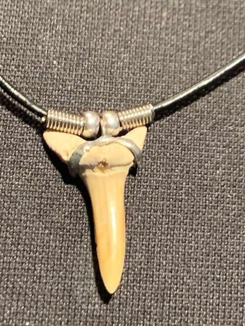 Mako FOSSIL SHARK TOOTH PENDANT NECKLACE
