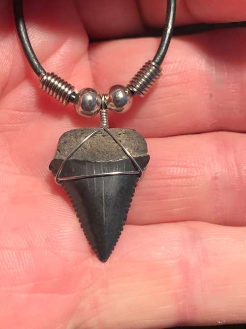 Great White FOSSIL SHARK TOOTH PENDANT NECKLACE 25 mm small size