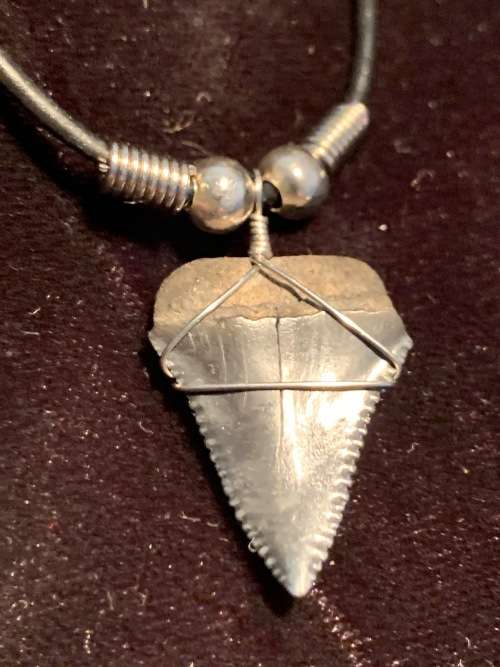 Great White FOSSIL SHARK TOOTH PENDANT NECKLACE 25 mm small size