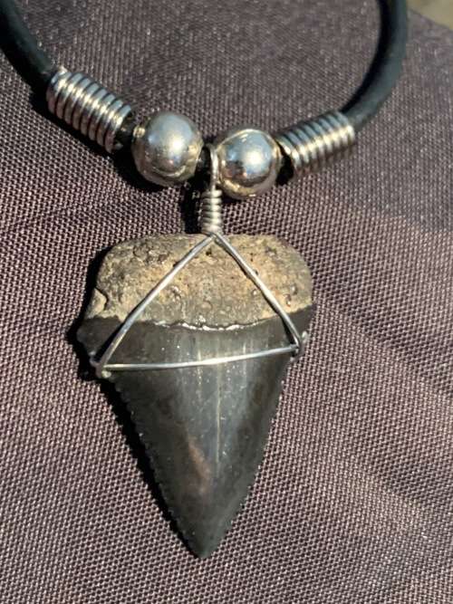 Great White FOSSIL SHARK TOOTH PENDANT NECKLACE 25 mm small size