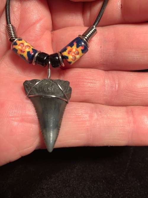 Great White FOSSIL SHARK TOOTH PENDANT NECKLACE 30 mm medium size
