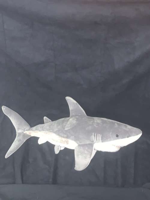 Great White Shark X large 85 cm