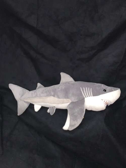 Great White Shark large 61 cm