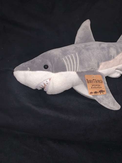 Great White Shark large 61 cm