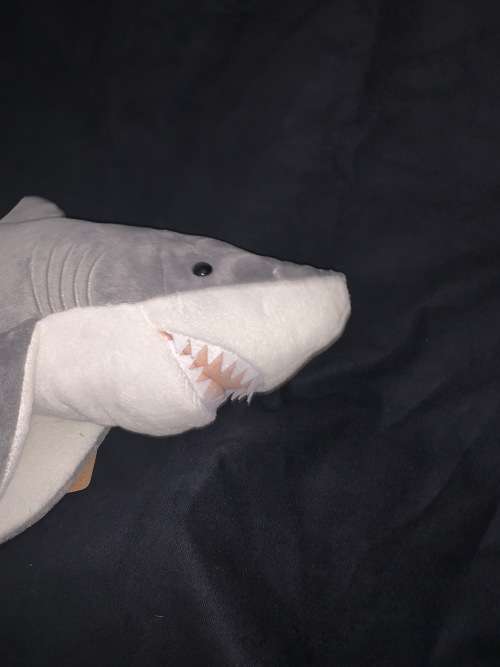 Great White Shark large 61 cm