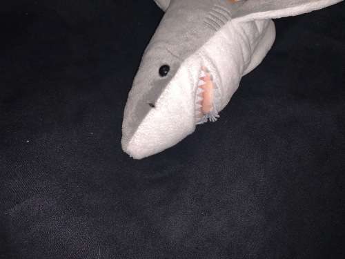 Great White Shark medium 32 cm
