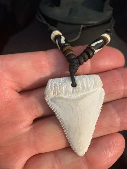 GREAT WHITE SHARK TOOTH PENDANT/ NECKLACE