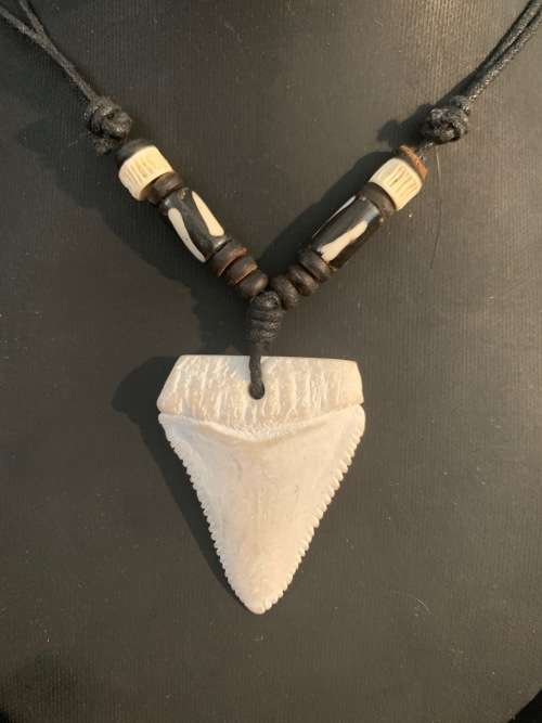 GREAT WHITE SHARK TOOTH PENDANT/ NECKLACE