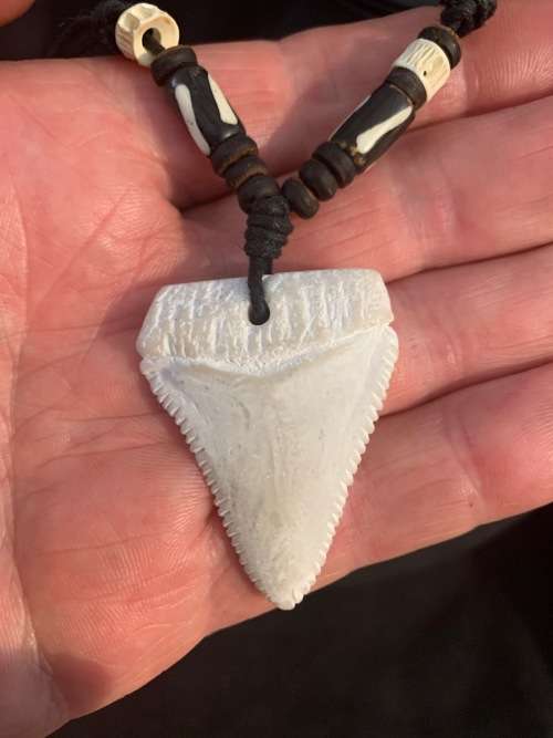 GREAT WHITE SHARK TOOTH PENDANT/ NECKLACE