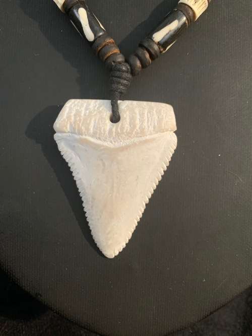 GREAT WHITE SHARK TOOTH PENDANT/ NECKLACE