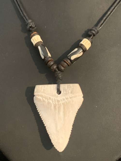 GREAT WHITE SHARK TOOTH PENDANT/ NECKLACE