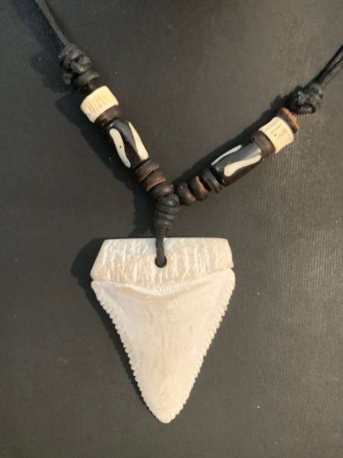 GREAT WHITE SHARK TOOTH PENDANT/ NECKLACE