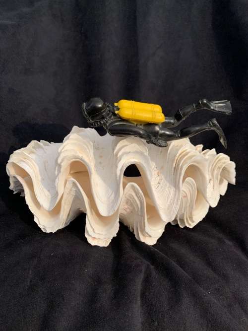 Vintage Giant Clam Shell Natural Seashell Nautical Décor Tridacna Gigas