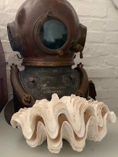 Vintage Giant Clam Shell Natural Seashell Nautical Décor Tridacna Gigas