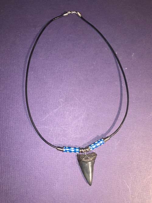 Mako FOSSIL SHARK TOOTH PENDANT NECKLACE 3 cm large