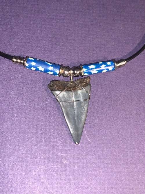 Mako FOSSIL SHARK TOOTH PENDANT NECKLACE 3 cm large