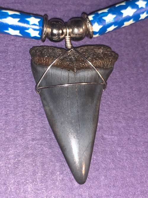 Mako FOSSIL SHARK TOOTH PENDANT NECKLACE 3 cm large