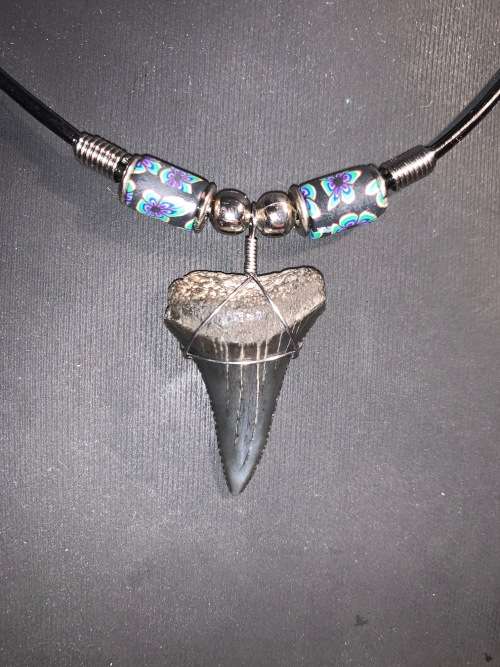 Great White FOSSIL SHARK TOOTH PENDANT NECKLACE 32 mm large size