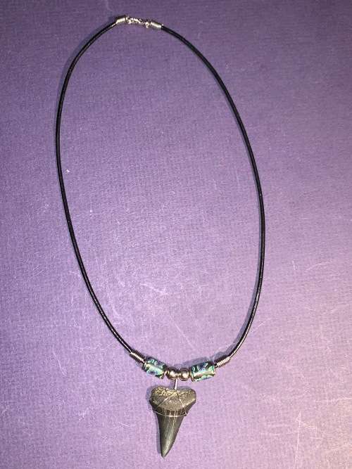 Great White FOSSIL SHARK TOOTH PENDANT NECKLACE 32 mm large size